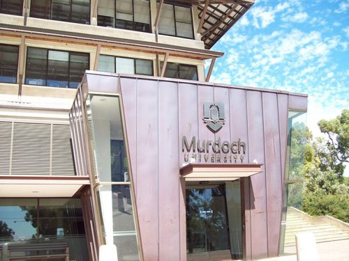 بورس تحصیلی -                                  500x375 - بورس تحصیلی مقطع دکترا در دانشگاه استرالیا - photo بورس تحصیلی مقطع دکترا در دانشگاه استرالیا. تحصیل در استرالیا در مقطع دکترا با بورسیه تحصیلی دانشگاه Murdoch استرالیا بورس تحصیلی -                                  500x375 - بورس تحصیلی مقطع دکترا در دانشگاه استرالیا