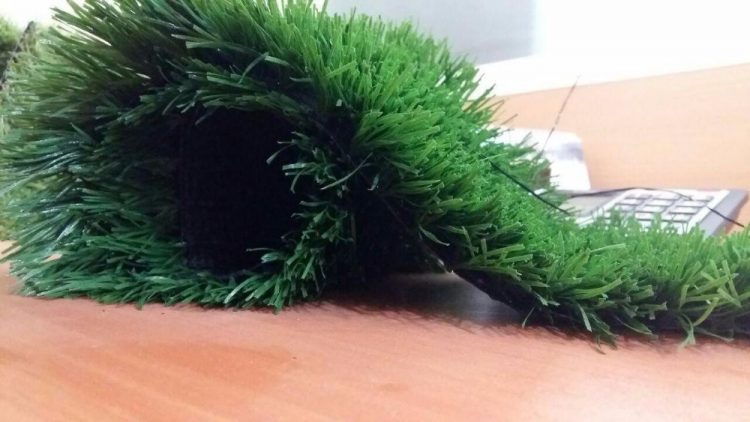 photo_2017-02-25_12-10-47