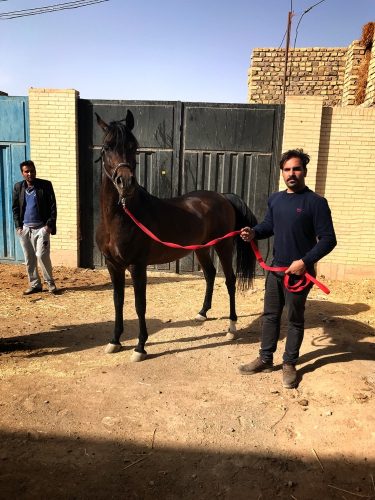 CFA6A976-2C27-49D3-8C63-6810AB04CF6E