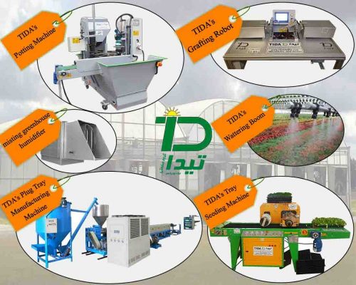 تیدا-شبکه های اجتماعی