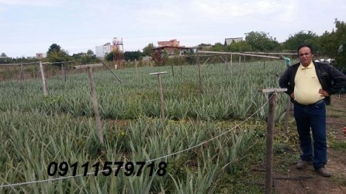 IMG_20181026_191819_495